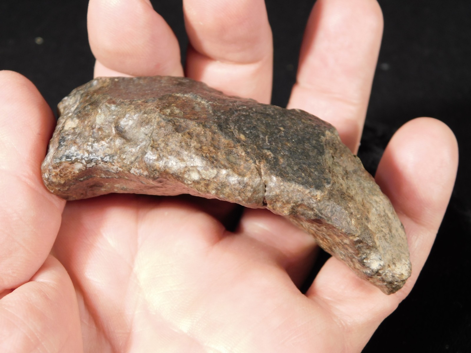 Larger N.W.A 869 Stony METEORITE with Dark Fusion Crust 197gr