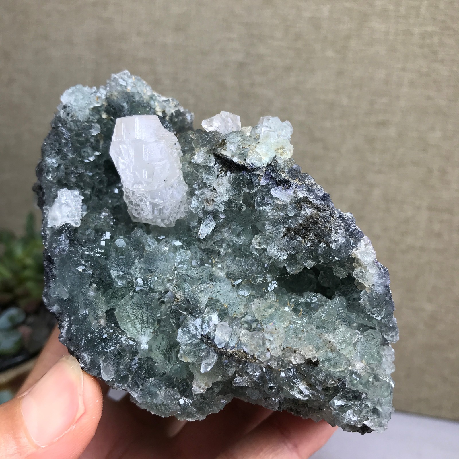 476g NATURAL Green Cubic FLUORITE paragenesis Crystal Cluster Specimen A4780
