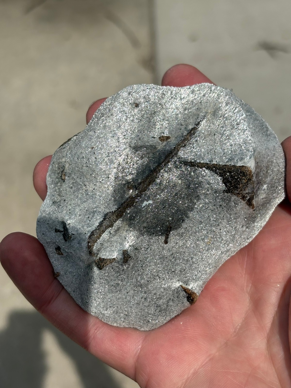 Staurolite, “fairy cross”, Keivy Mountains, Kola Peninsula, Russia