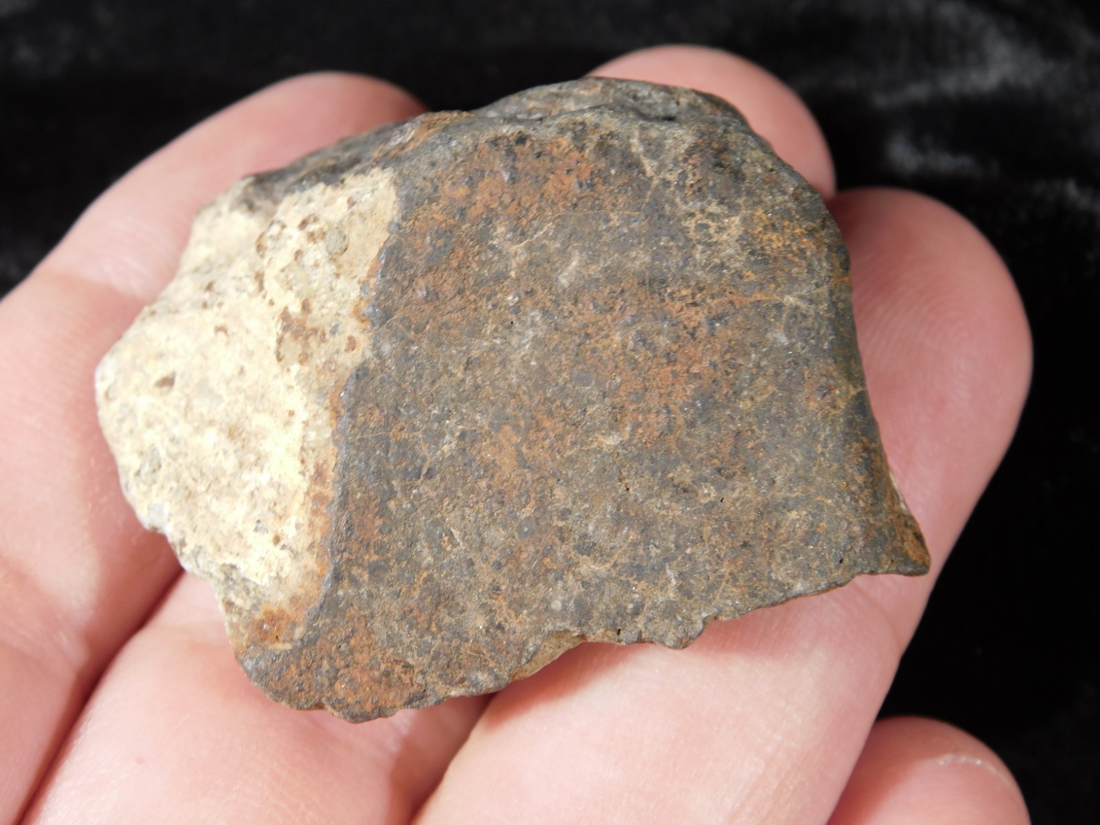 Stony METEORITE With Dark Fusion Crust 100% Natural Fell in Libya 42.2gr
