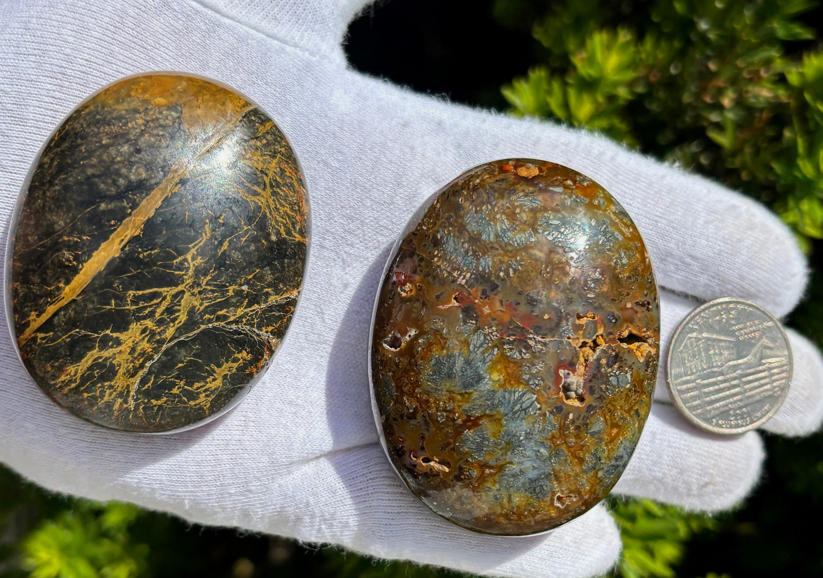 US SALE 187g LOT MULTI-COLORED MARCASITE/BLUE MIZONE OPAL PALMSTONES PALM STONE