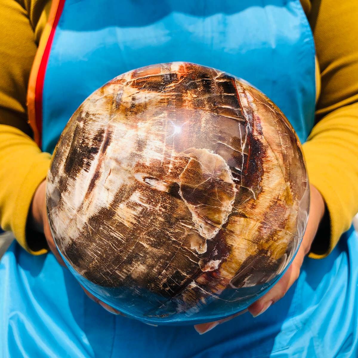 8.18LB Rare Natural Petrified Wood Ball Crystal Quartz Mineral Healing 4698
