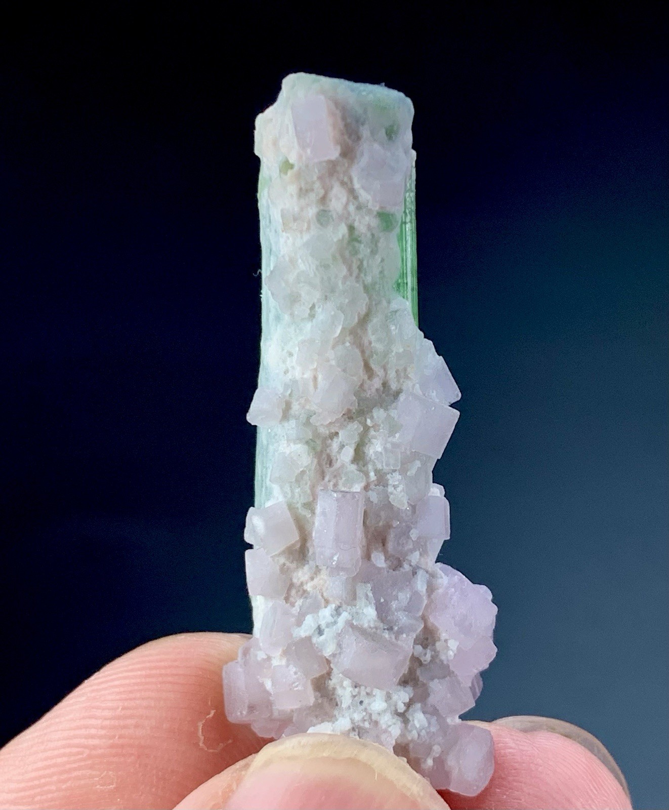 36 Ct Apatite Crystals Cluster On Tourmaline Matrix Specimen Afghanistan