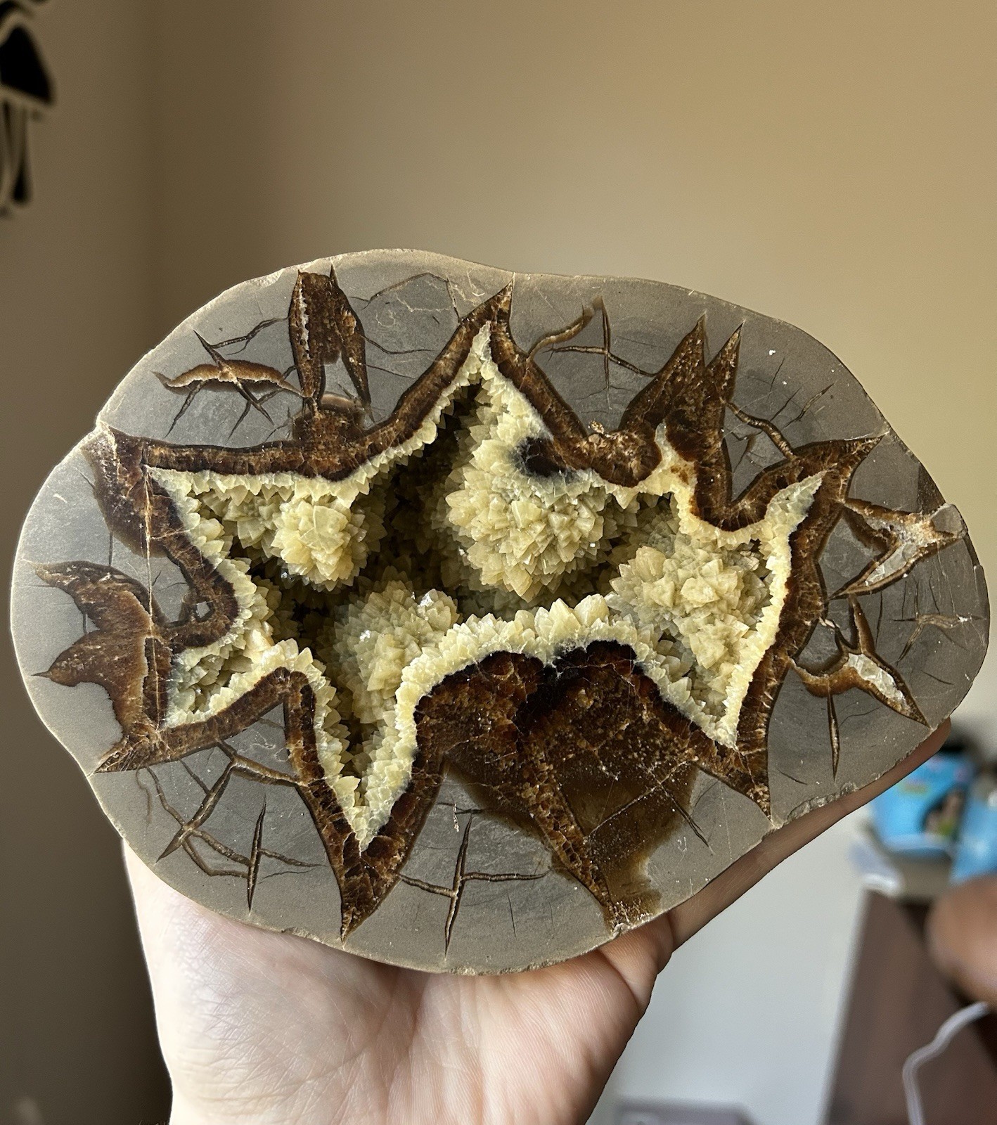 Dragon Stone