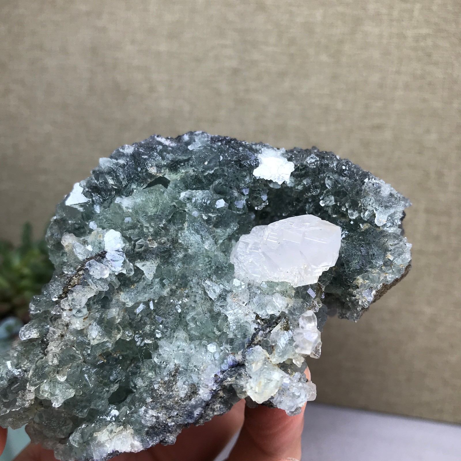 476g NATURAL Green Cubic FLUORITE paragenesis Crystal Cluster Specimen A4780