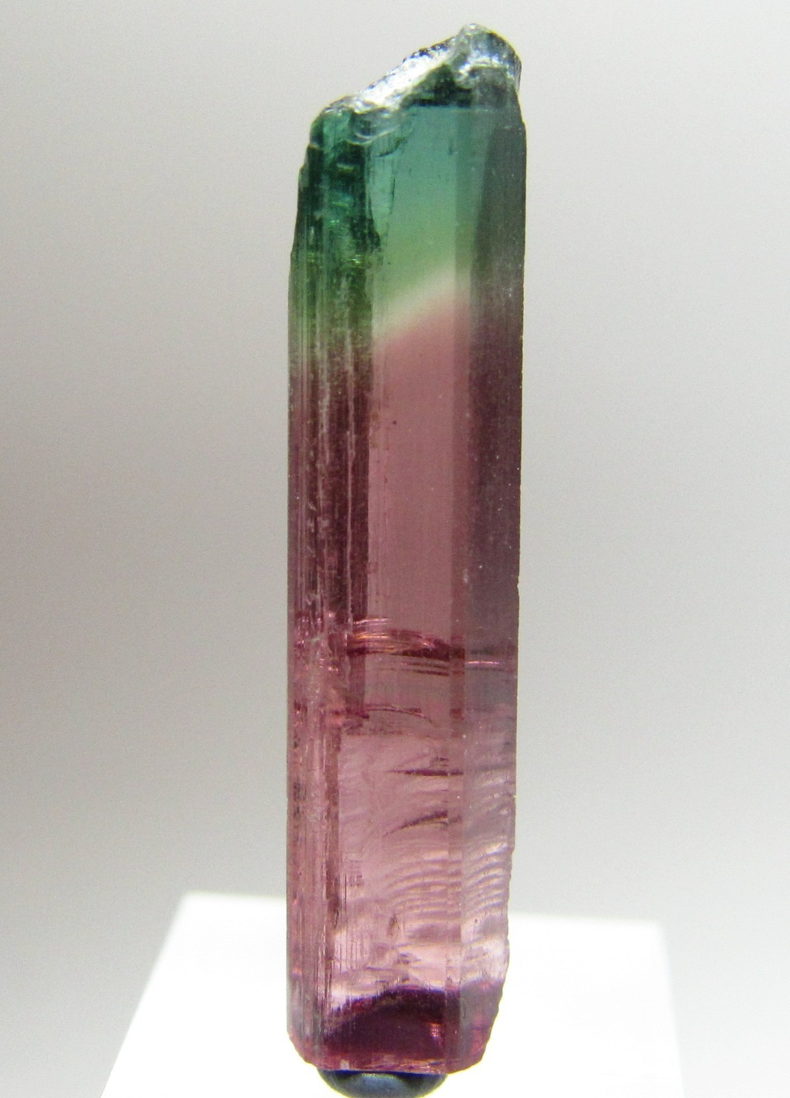 PHENOMENAL RARE FACET GRADE GEM TOURMALINE CRYSTAL!!! MORRO REDONDO BRAZIL