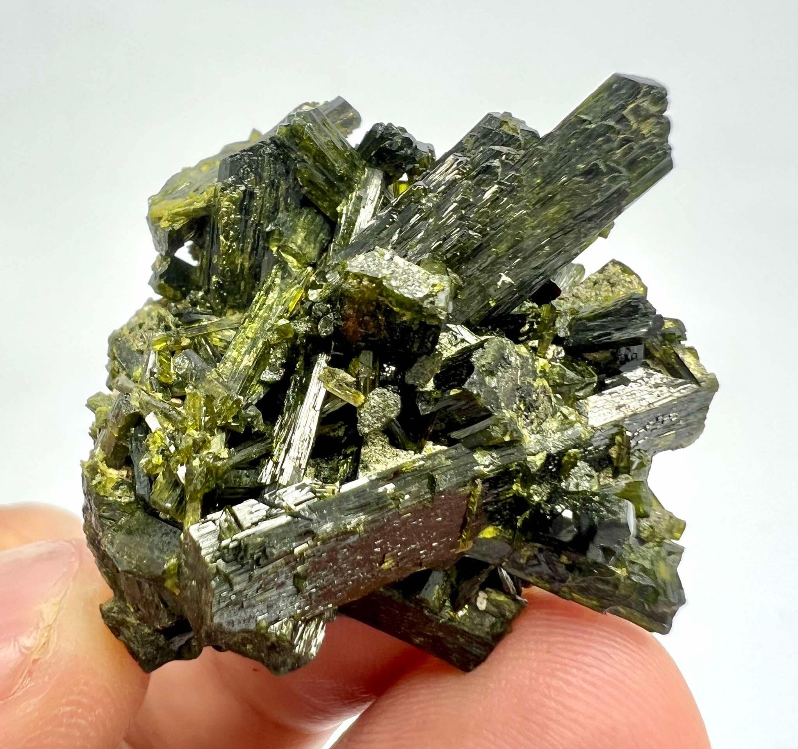 123 CT Amazing! Epidote Crystals Bunch Specimen From Skardu Pakistan s42