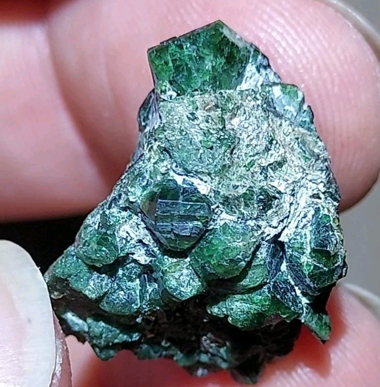 GORGEOUS ALEXANDRITE CHRYSOBERYL CLUSTER FROM ZIMBABWE