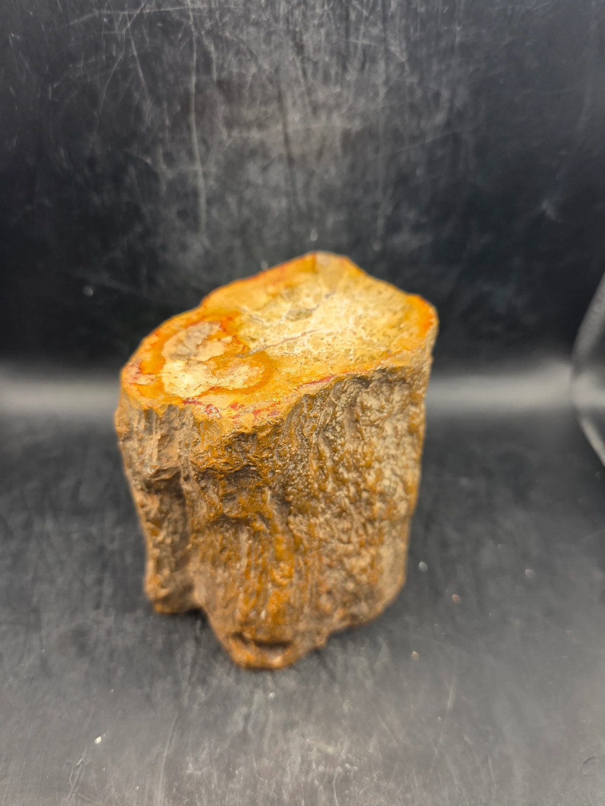 Petrified wood trunk! 1.15 pounds, 3.3 inches tall 3.3 inches wide