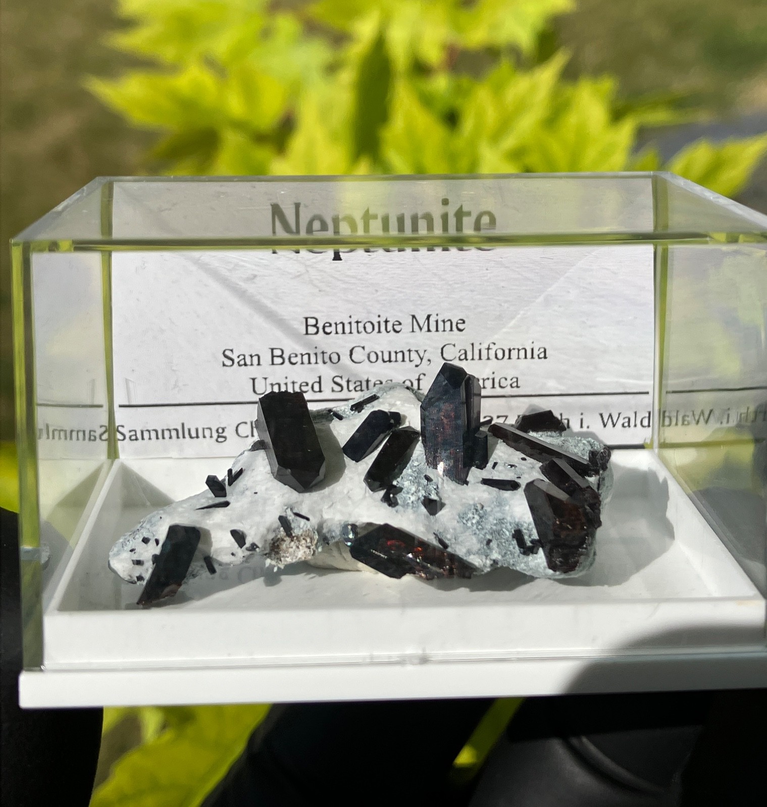 Neptunite Benitoite Mine, New Idria District, San Benito County, California, USA