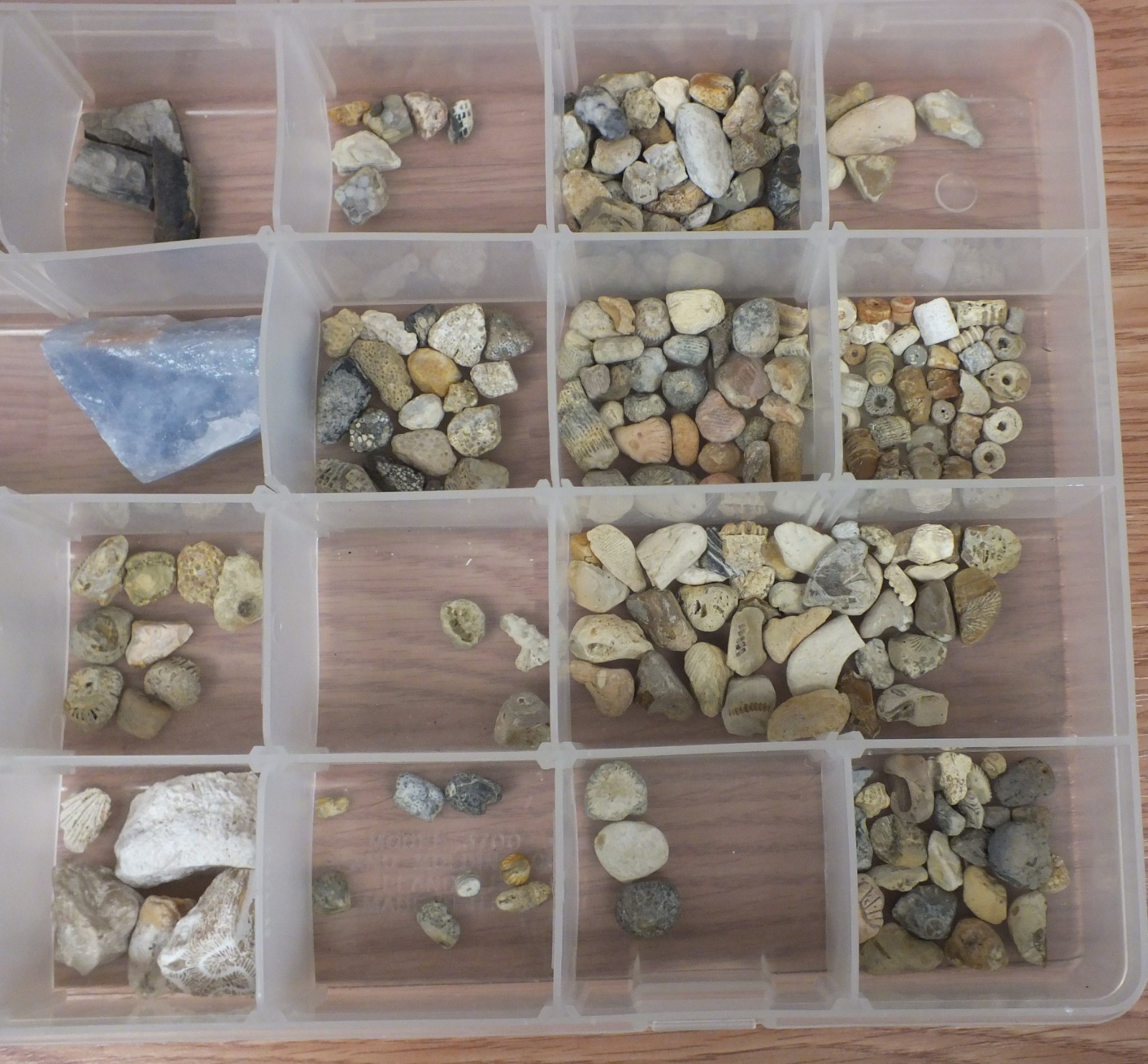 Unbranded Mixed Lot of Multi Size / Color / Texture Rock & Fossil Collection