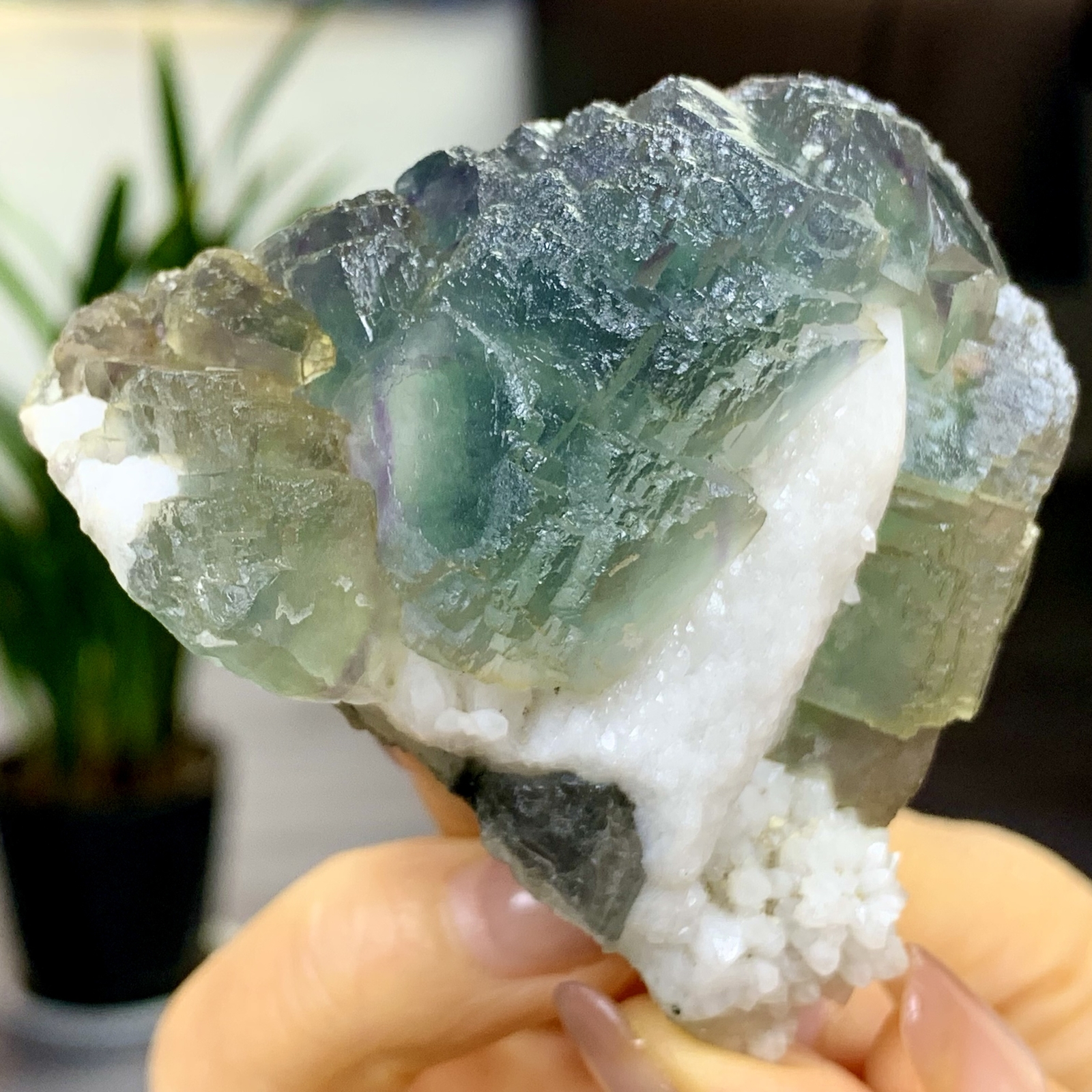 197G Rare transparent blue green cubic fluorite mineral crystal sample