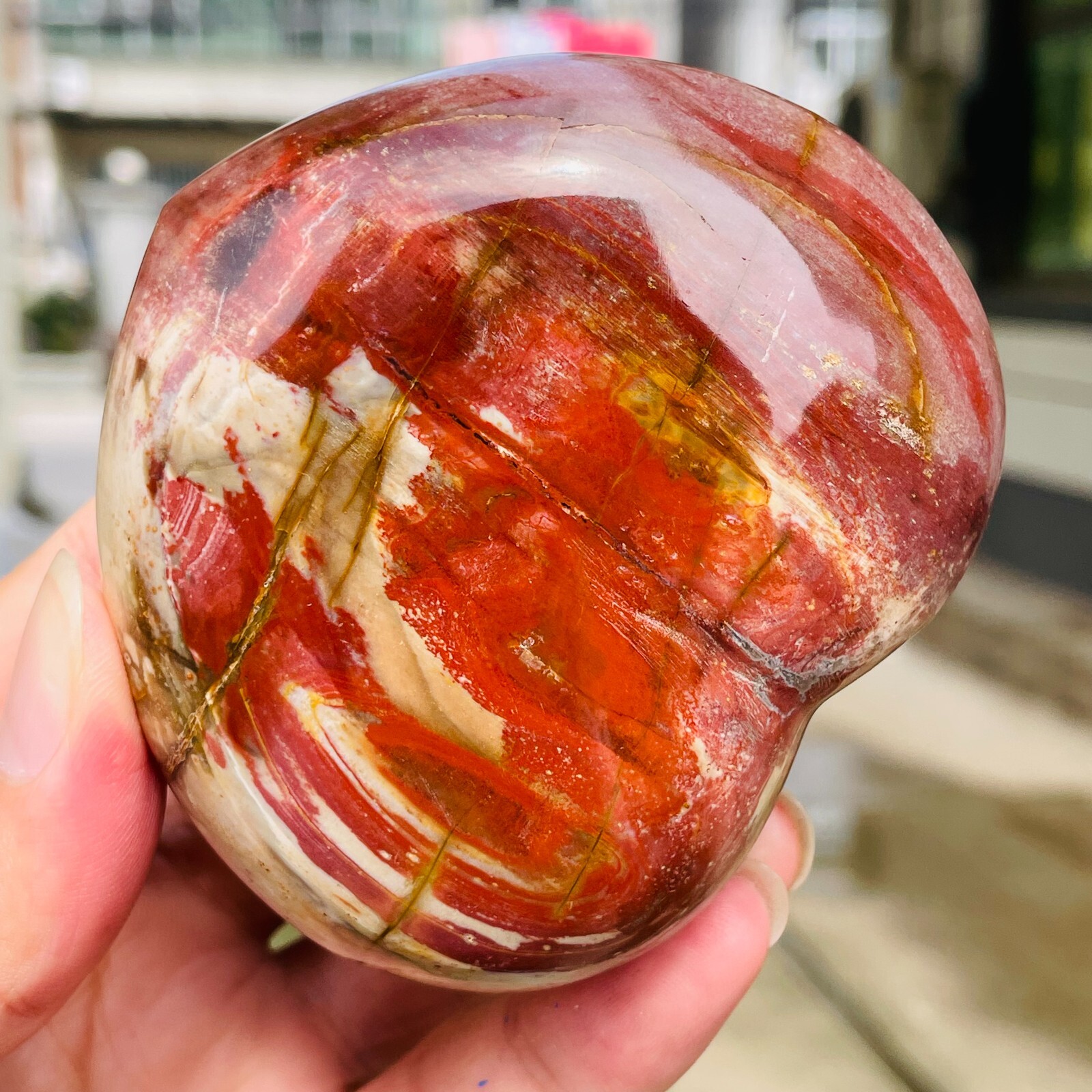364g Natural Petrified Wood Jade Quartz Crystal Fossil Heart Shape Specimen