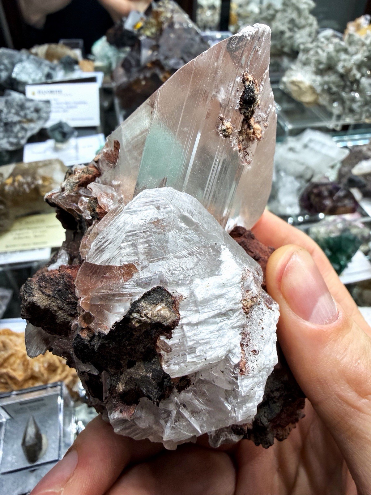 Gypsum Var. Selenite From Chihuahua, Mexico