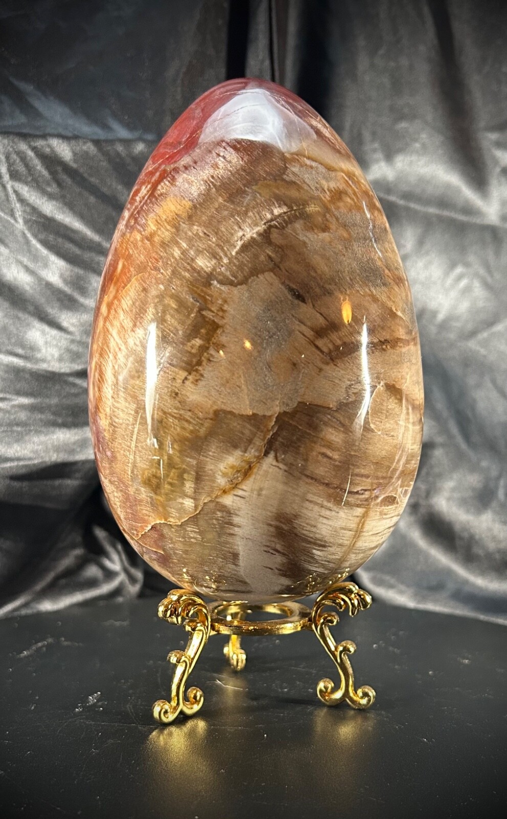 5lb 4.2oz Petrified Wood Egg with Metal Stand