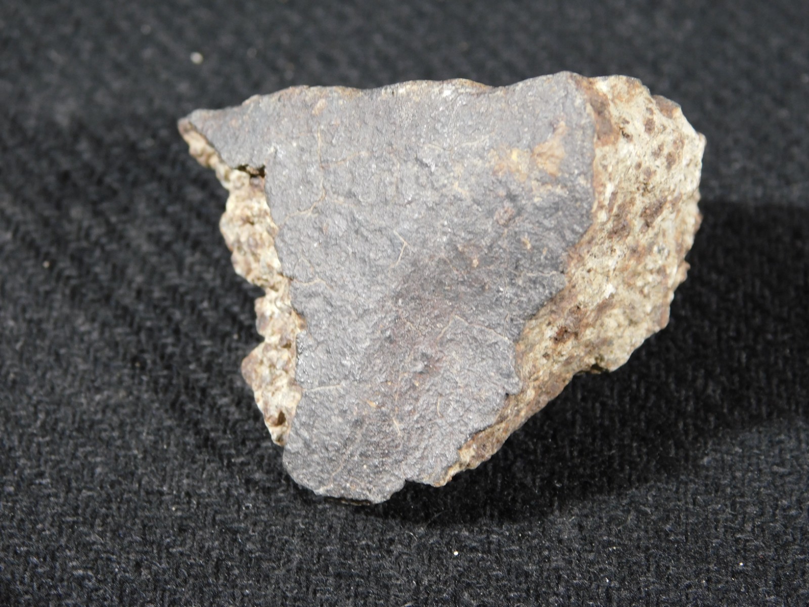 Classified NWA 8245 METEORITE 100% Natural FELL on Erfoud, Morocco 47.3gr