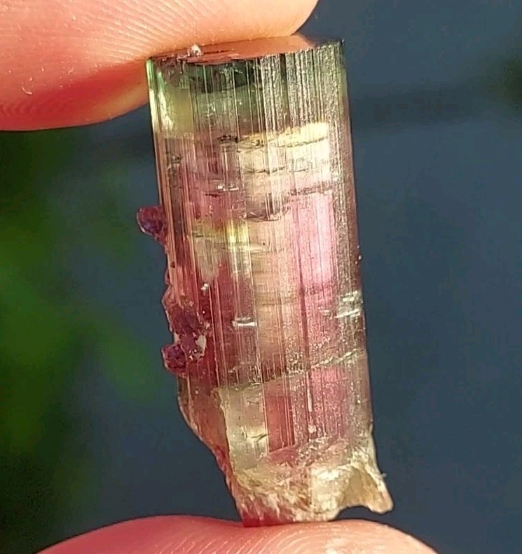 ULTRA RARE BURKHARD’S POCKET TOURMALINE NO REPAIRS PEDERNEIRA MINE BRAZIL