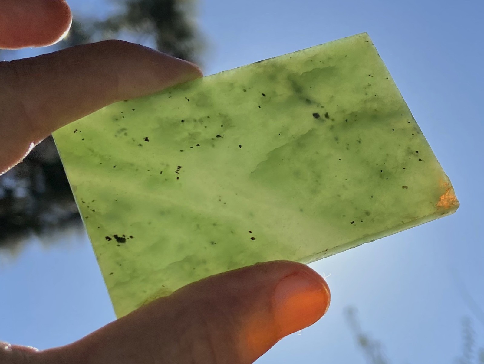 Siberian Jade Glowing Imperial Green Fine Slab 48.6 Grams- 243.5 Carats Russia