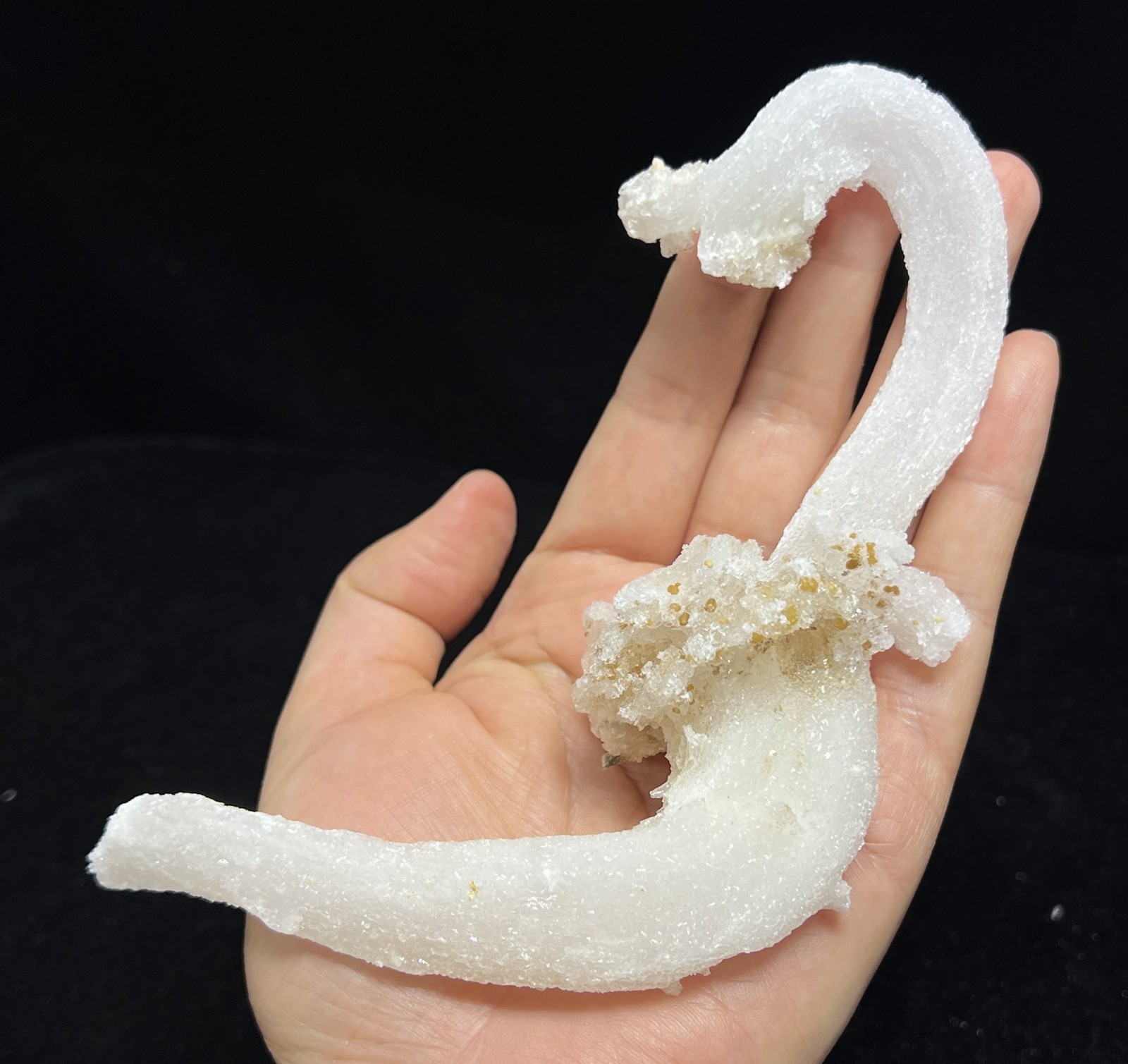 152mm Sparkling POWERFUL ‘Ram’s Horn’ shape Selenite (Gypsum), Natural Mineral