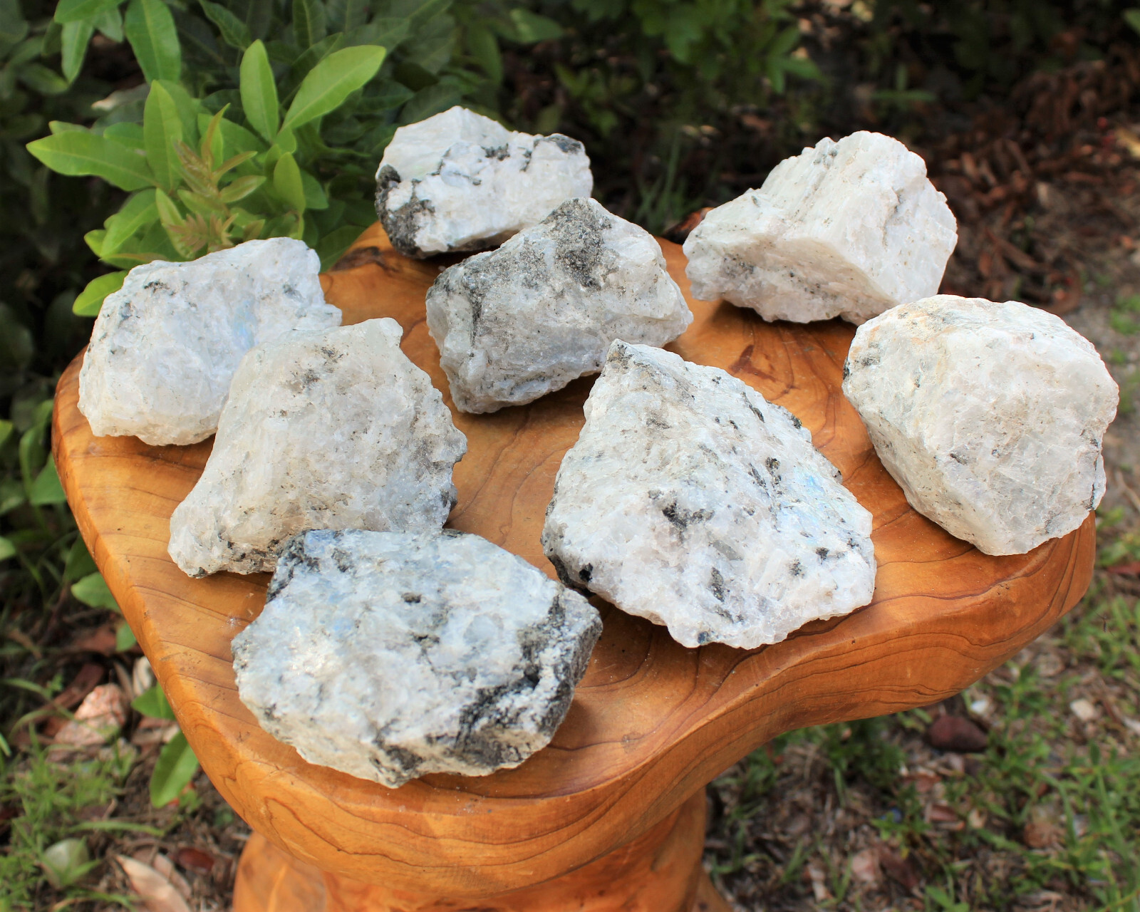 JUMBO Rainbow Moonstone Natural Raw Crystals – HUGE Rough Rainbow Moonstone