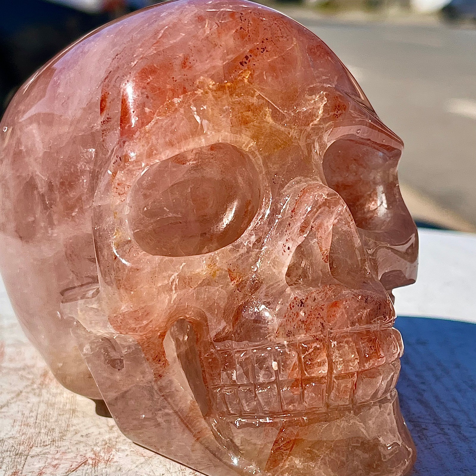 2.53LB Natural dreamy red gum flower skull hand carved skull healing