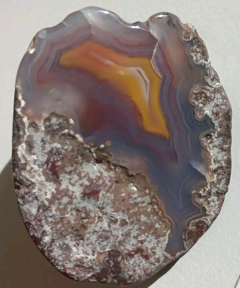 2 Matching Condor Agate Nodule Halves Glass Polish Blue/Grey Red Yellow Bands A+