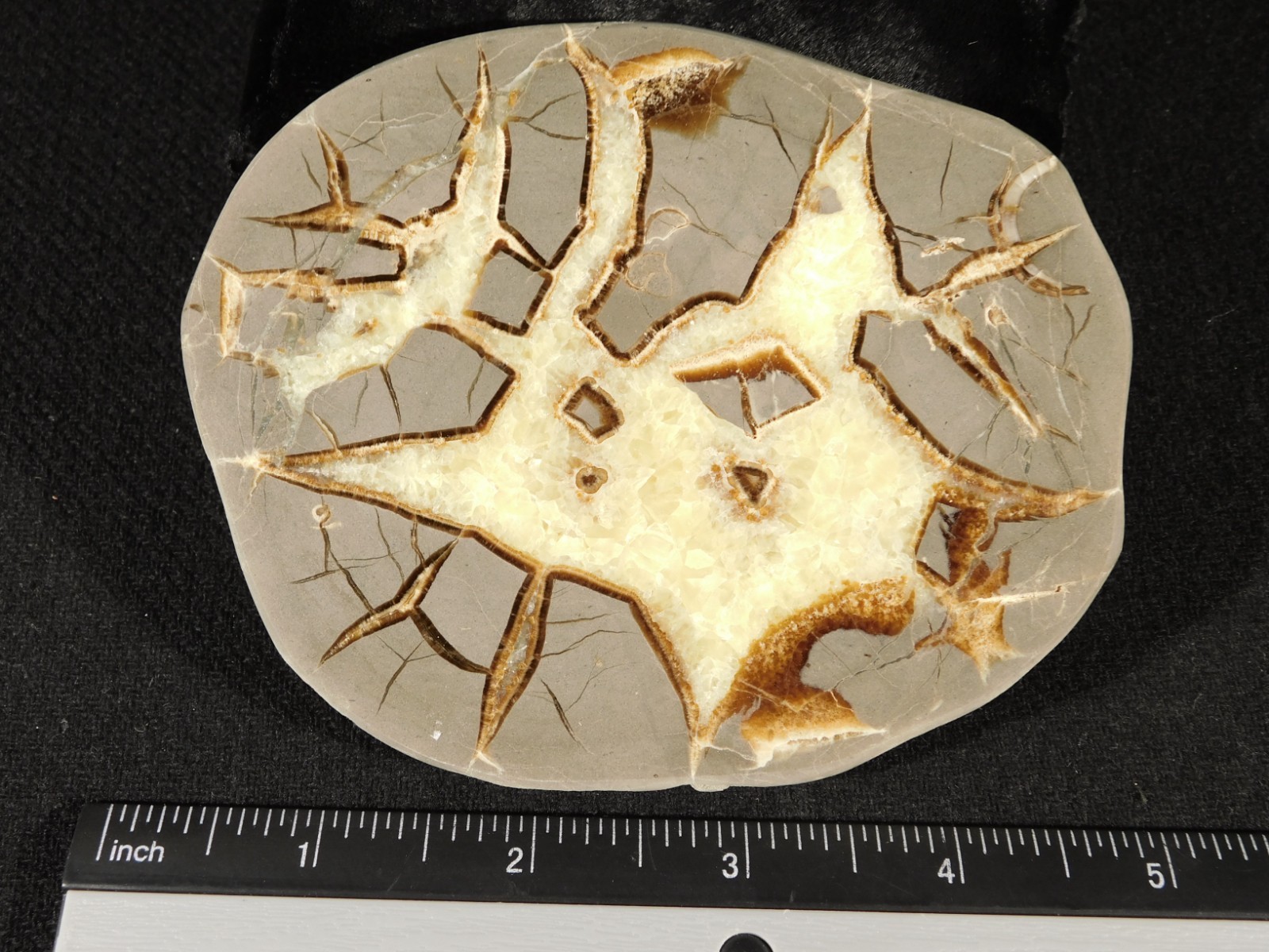 Polished FLUORESCENT SEPTARIAN Nodule Slice 100% Natural w/Stand 244gr