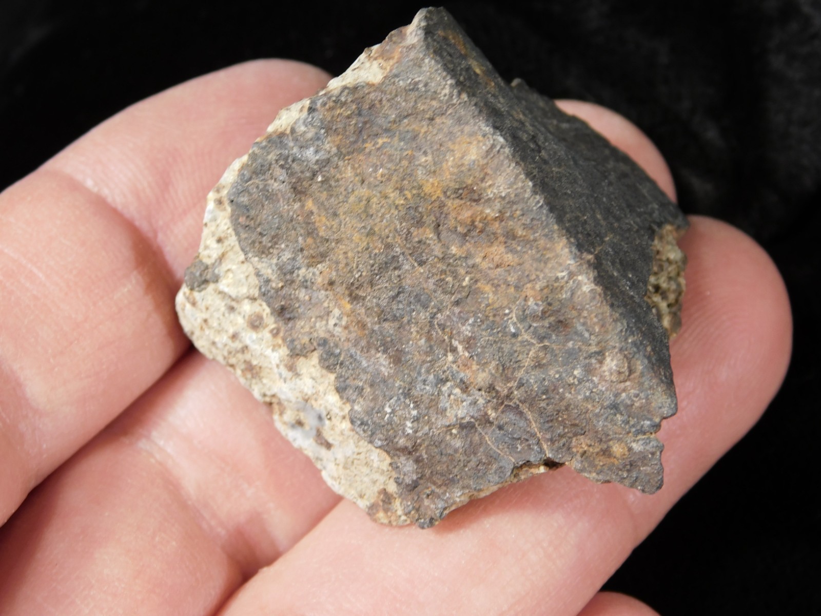 Classified NWA 8245 METEORITE 100% Natural FELL on Erfoud, Morocco 47.3gr