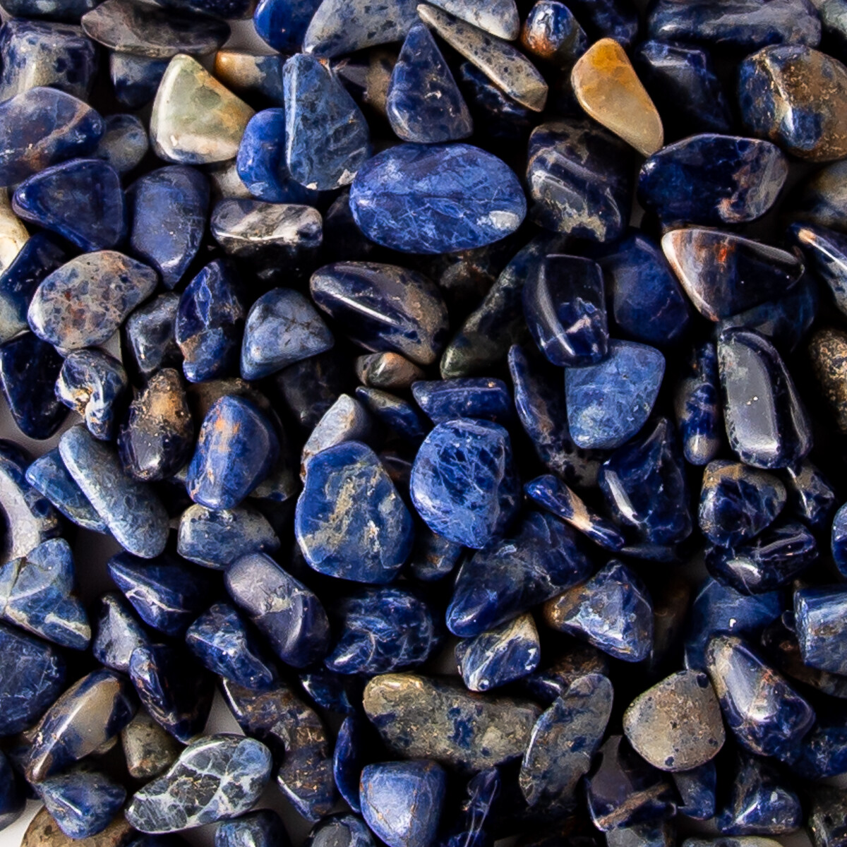 1 lb Tumbled Gemstone Collection Sodalite Picture Jasper Petrified Wood Bulk Gem