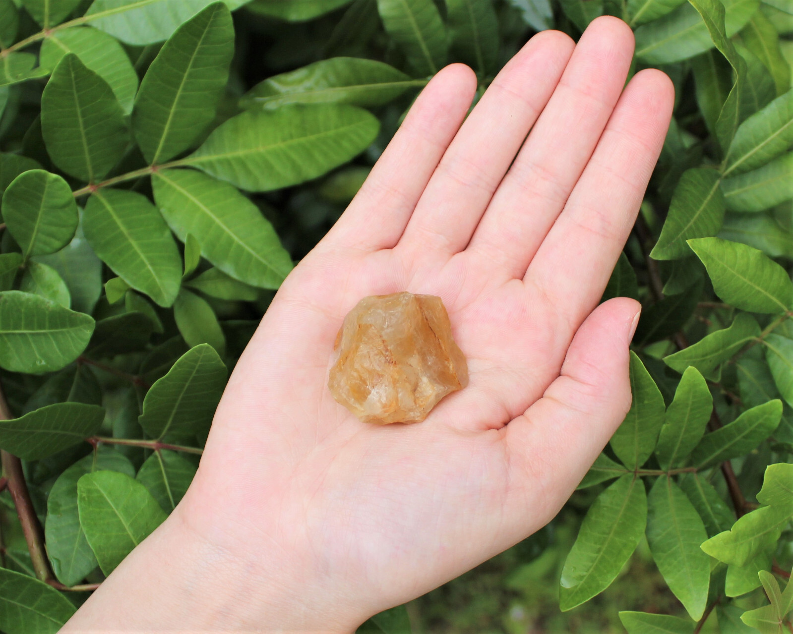 Golden Healer Quartz Rough Natural Crystals Wholesale Lots (Raw Golden Quartz)