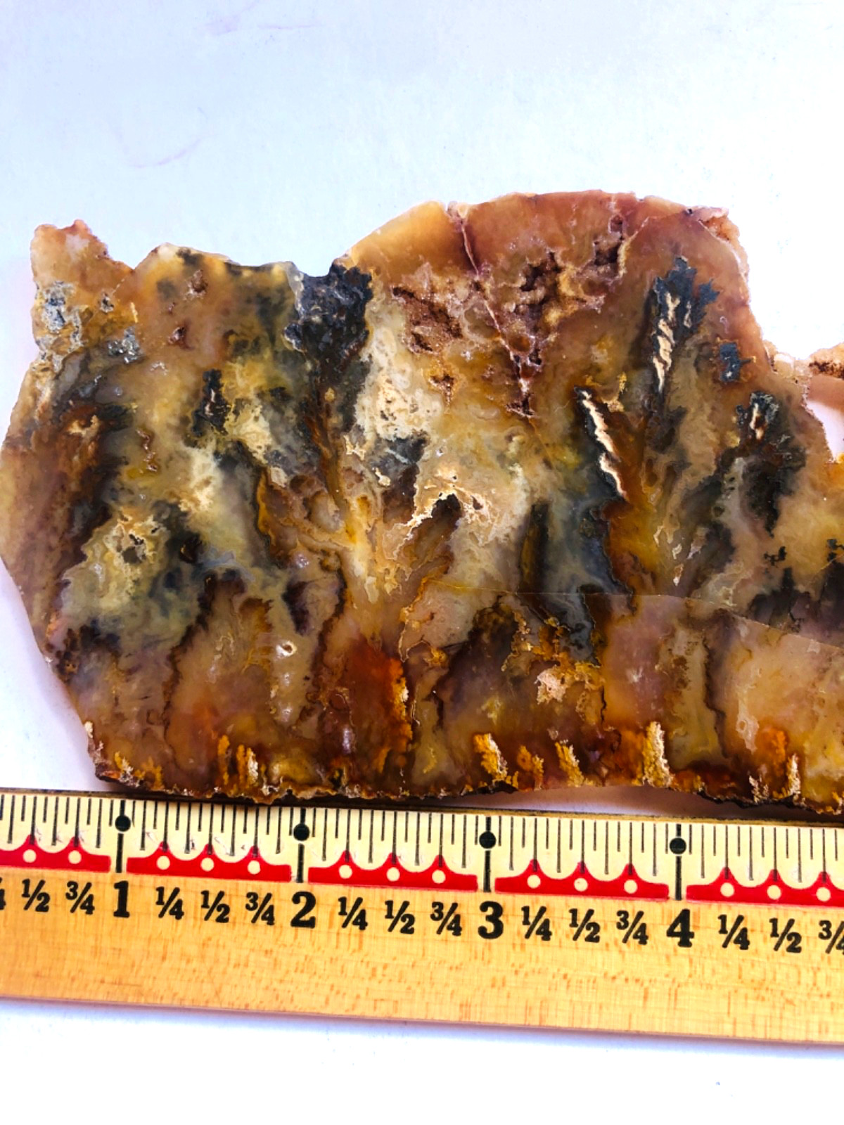Graveyard Plume Agate Museum Grade Collectors Slab Oregon 202 Grams