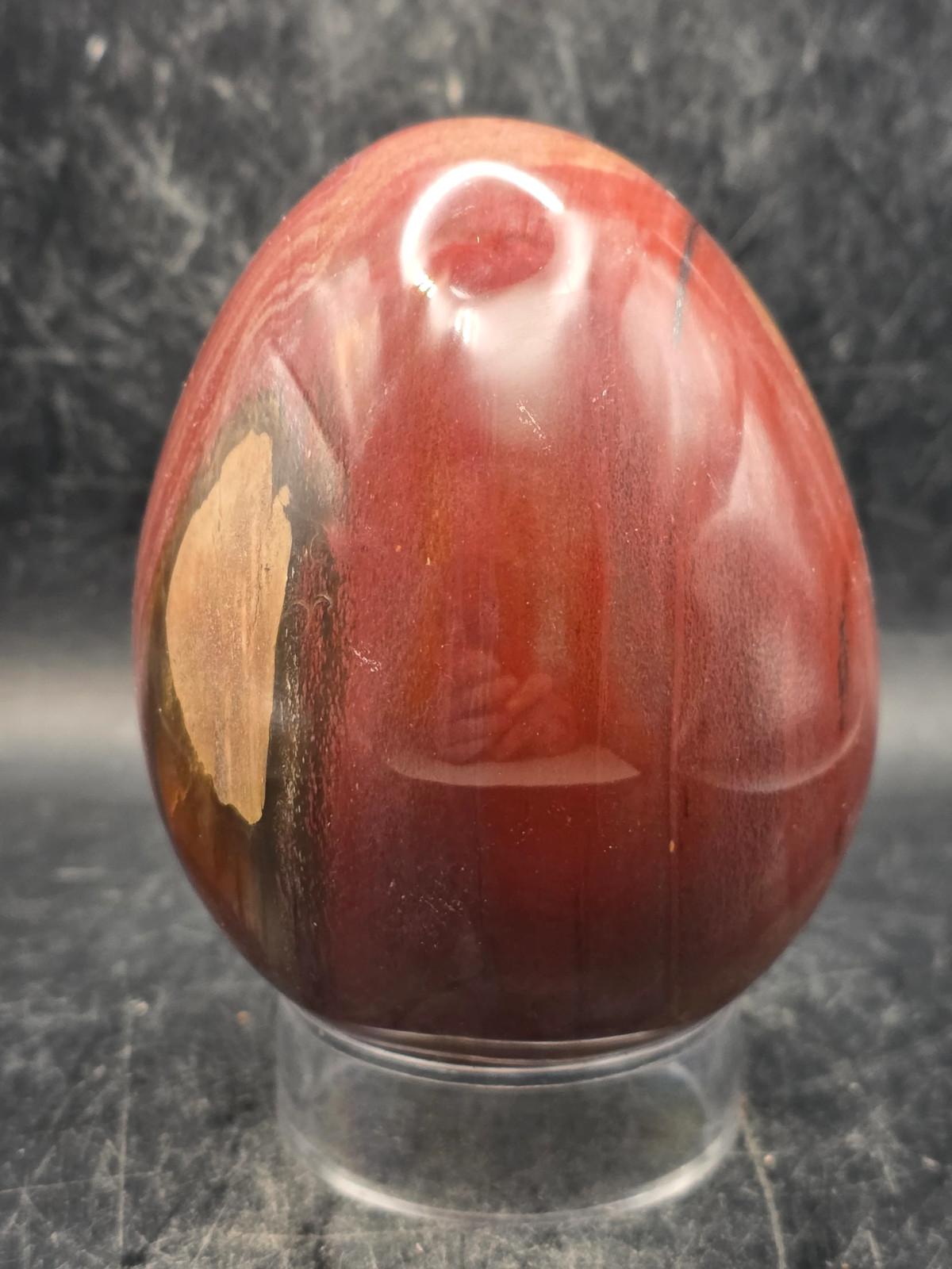 Petrified wood egg! 1.2 pounds, 3.3 inches tall, 2.6 inches wide