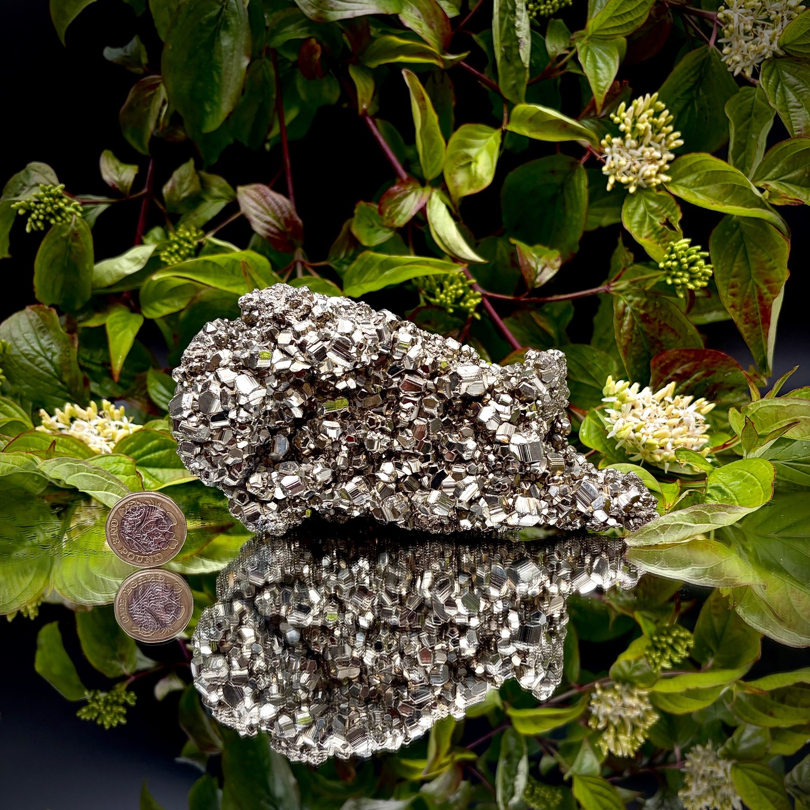 Large High-Grade AA Peruvian Pyrite Crystal Cluster #50 | Collectors Peruvian
