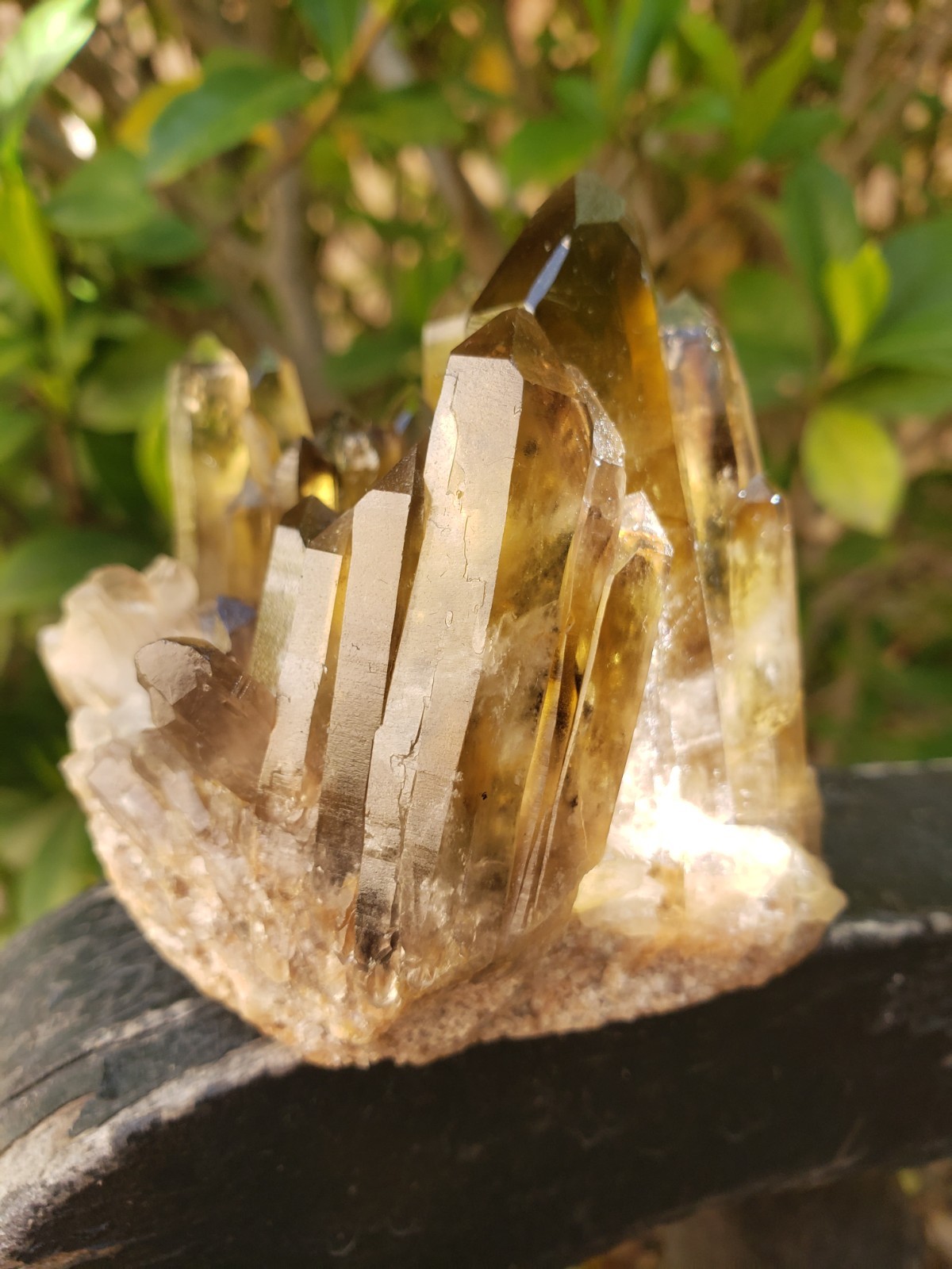2.75″ Natural Smoky Citrine Quartz Crystal Cluster Mineral Specimen, 198g or 7oz