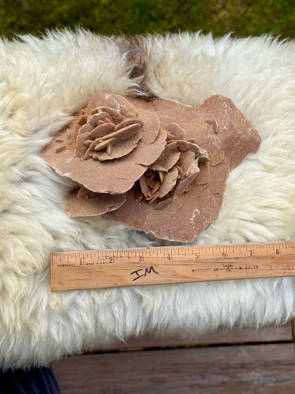 Large Desert Rose Selenite Gypsum Cluster 7” Natural Mineral Specimen 987g
