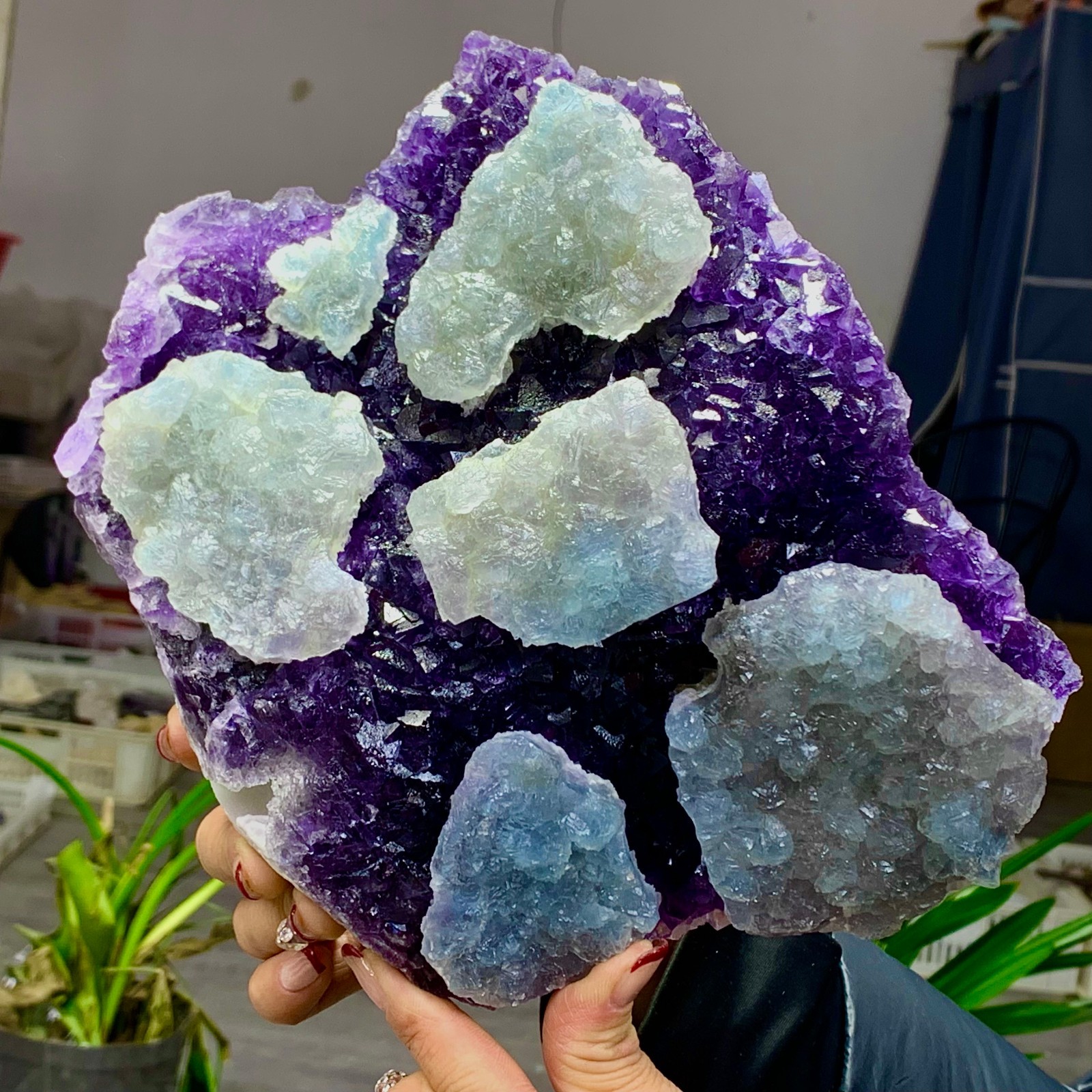 8.6LB Rare Purple Green blue cubic fluorite mineral crystal sample/Zhejiang