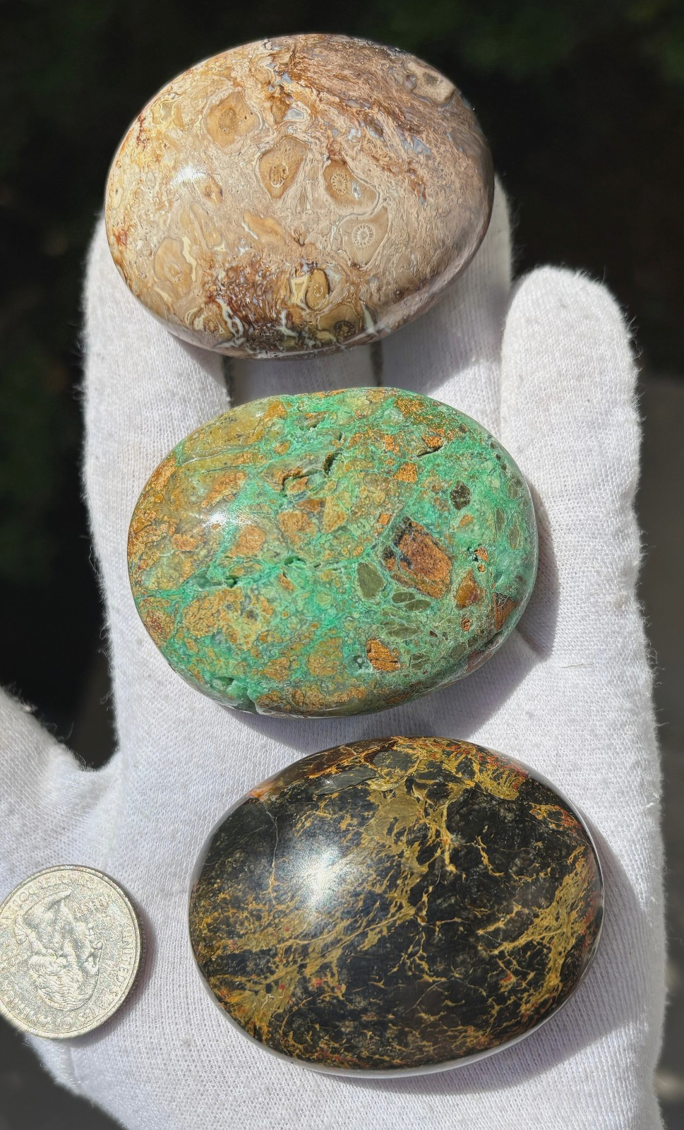 LOT MIZONE OPAL/GREEN SMITHSONITE/PALM ROOT PALMSTONES PALM STONES STONE