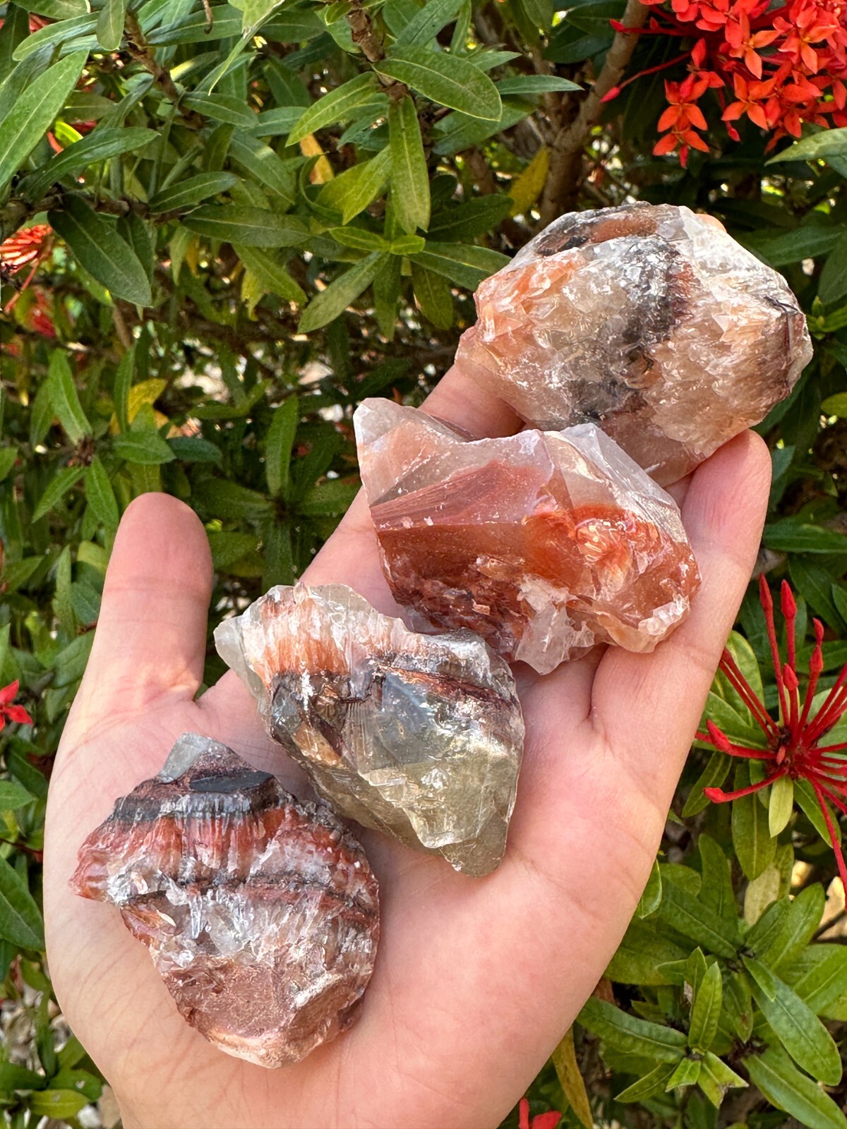 Grade A++ Red/Brown Calcite Rough Natural Stones, 1.5-2.5″ Raw Calcite Red/Brown