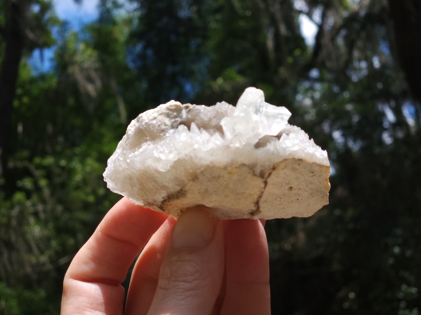 Florida Calcite Crystal Collection 5 pieces LOT Honey Clusters UV Mineral