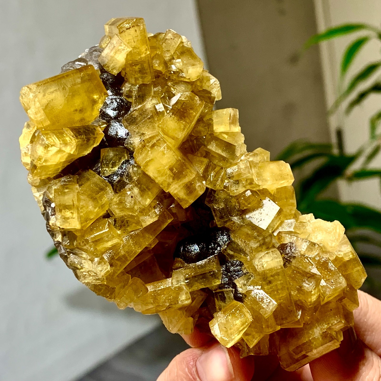 300G Shiny Golden Cuboid Barite Crystal Based on the Purple Spherical Fluorite