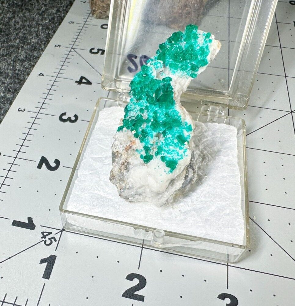 ➤ 2-1/8″ DIOPTASE & CALCITE CRYSTALS – Tsumeb Mine – Namibia Africa VIDEO➤664