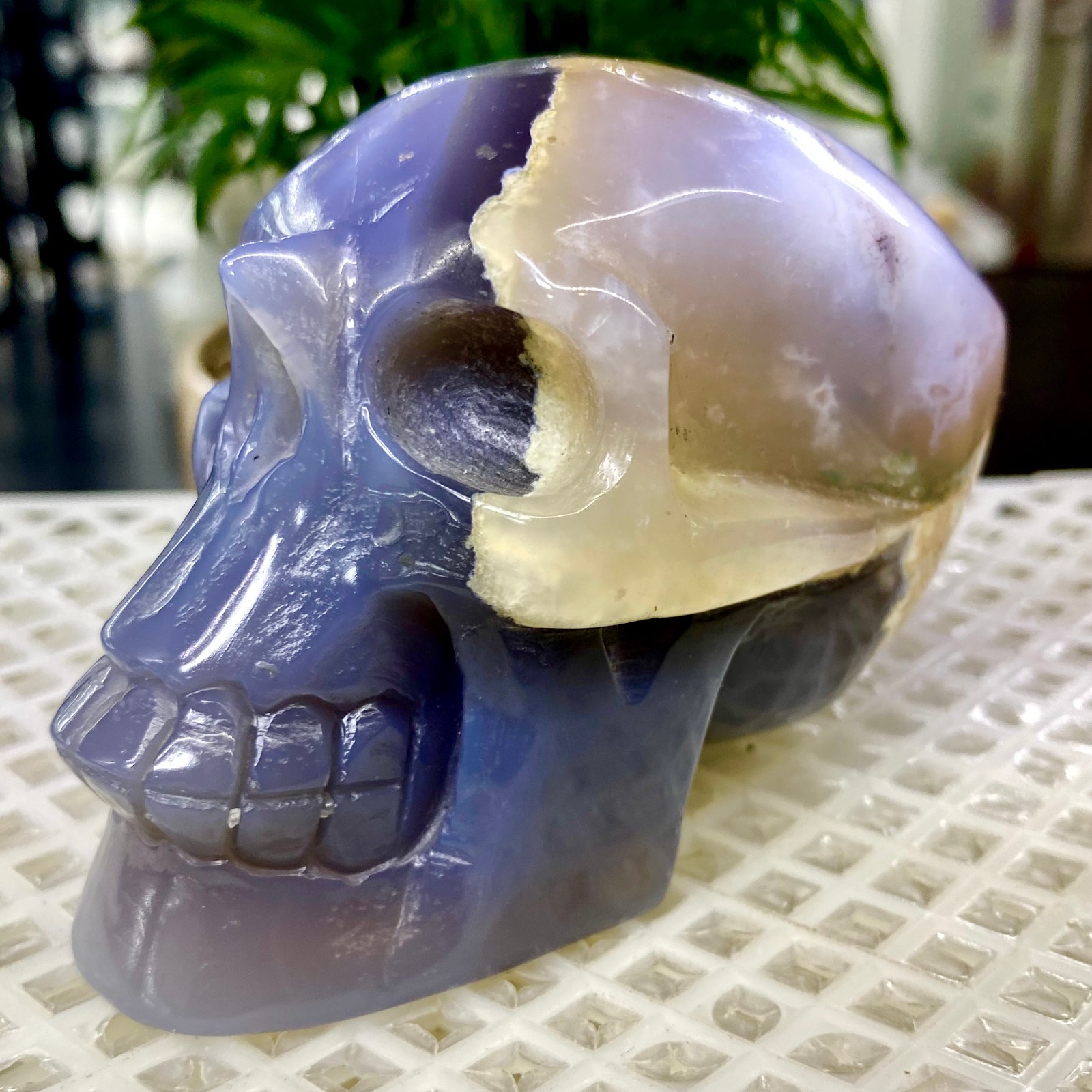 465G Natural Crystal Rare Banded Blue Flower Agate Skull Carving