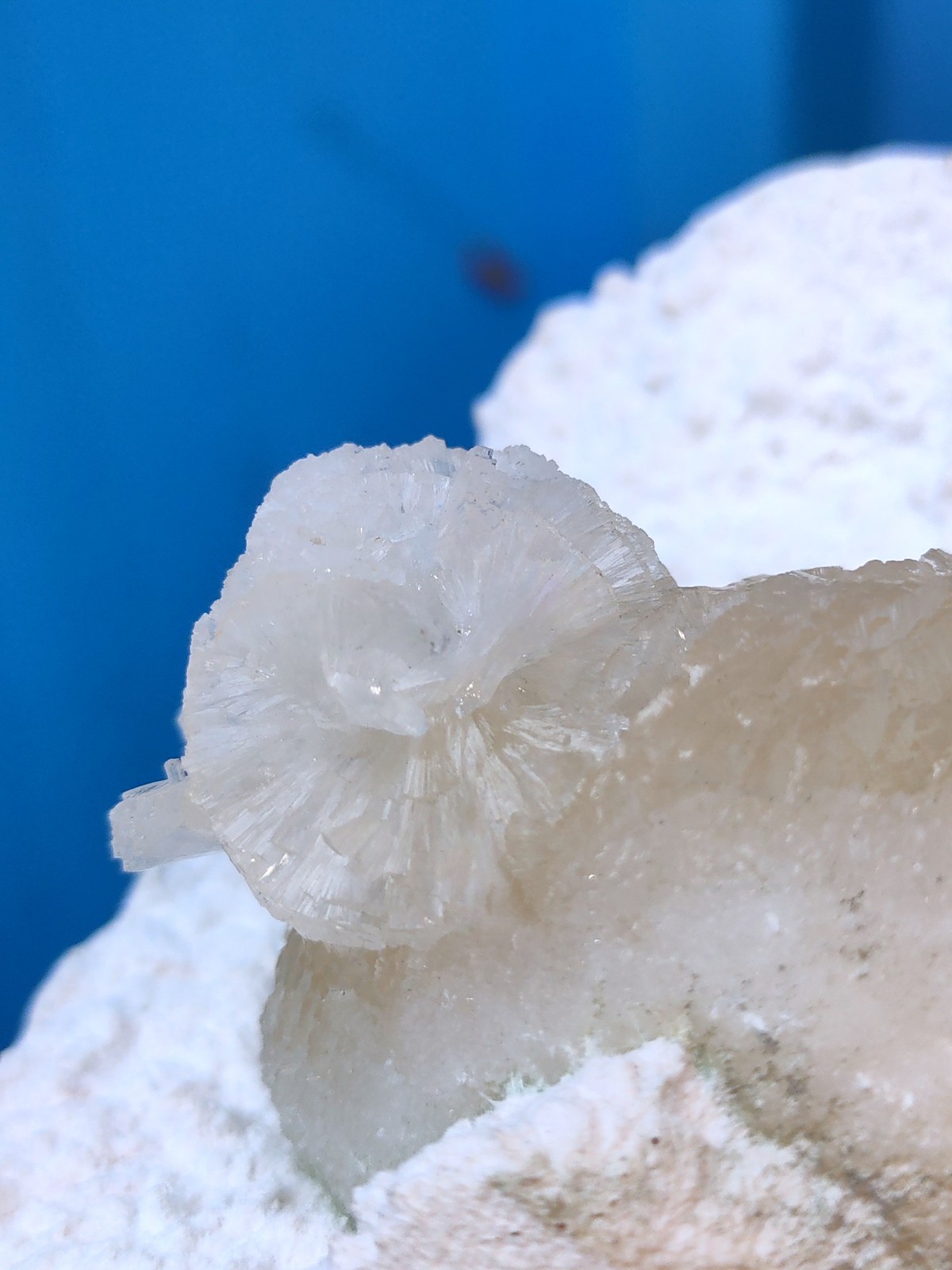 Yellow Sterlite Ball on Okenite Natural mineral specimen