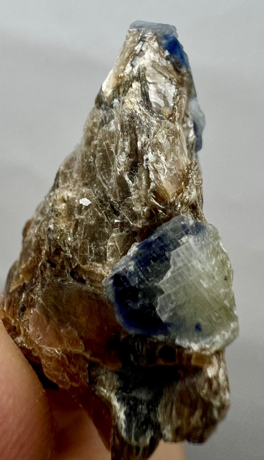 58ct.Natural Blue Sapphire Crystal Cluster on Mica Matrix – Afghanistan Specimen