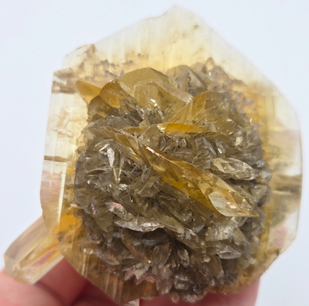 +++ GYPSUM VAR. SELENITE RED RIVER FLOODWAY, WINNIPEG, MANITOBA, CANADA +++
