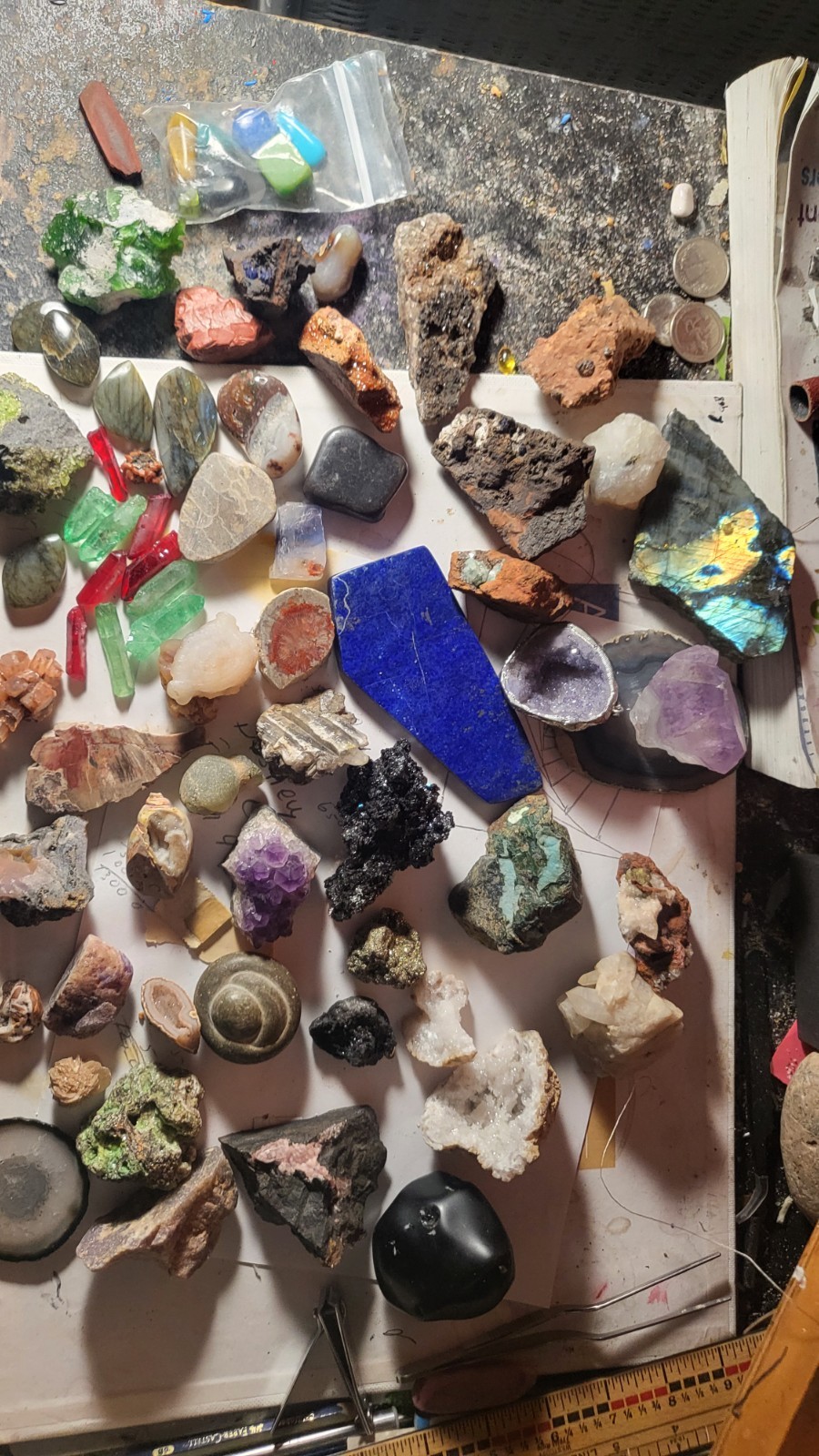 Highly Prized Rock and Mineral Collection
