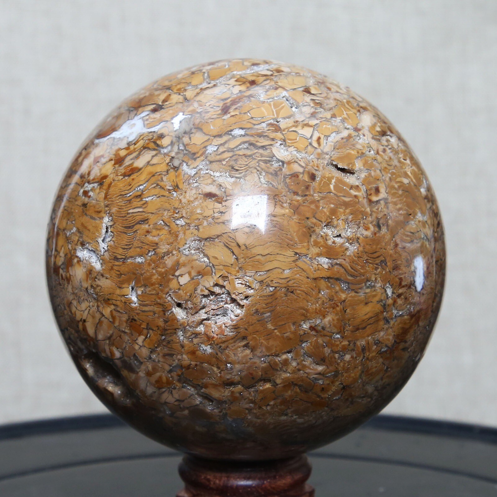 B8702-85mm-817g Amazing Natural Ocean Ibis Jasper Orbicular Sphere Reiki Crystal