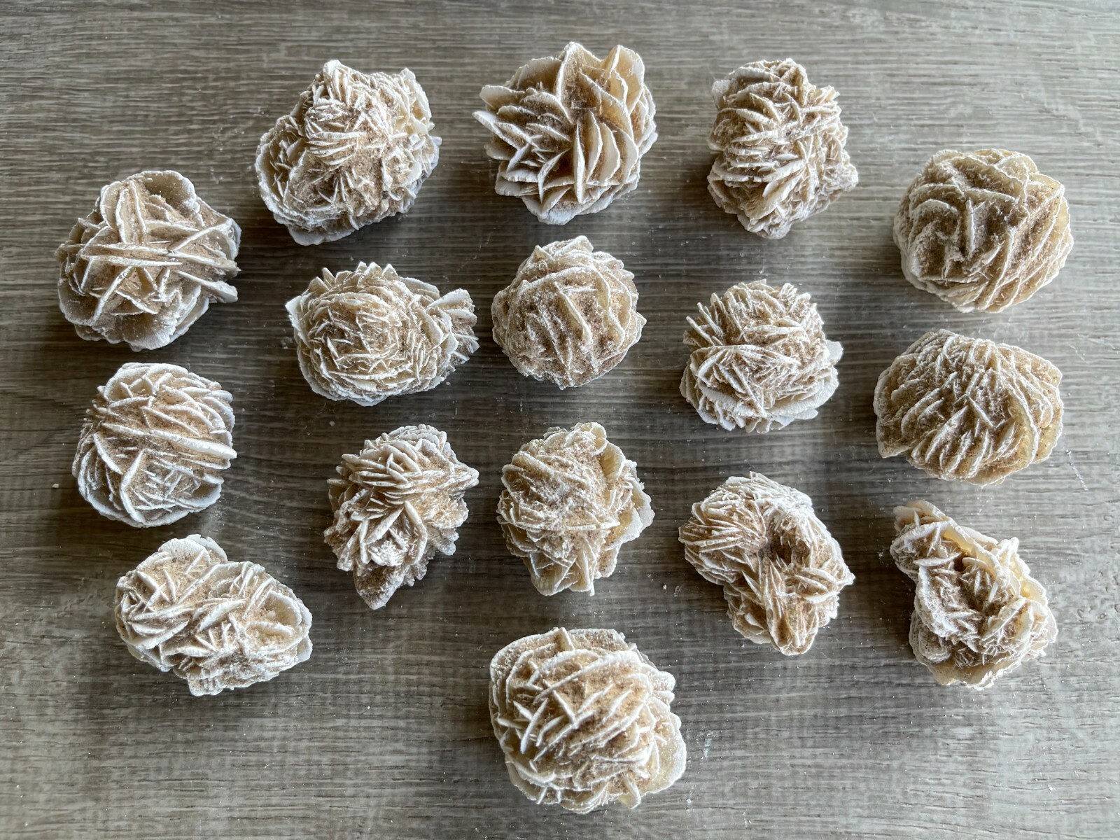 Desert Rose Selenite, 1.25-1.75 Inch Desert Gypsum Rose, Wholesale Bulk Lot