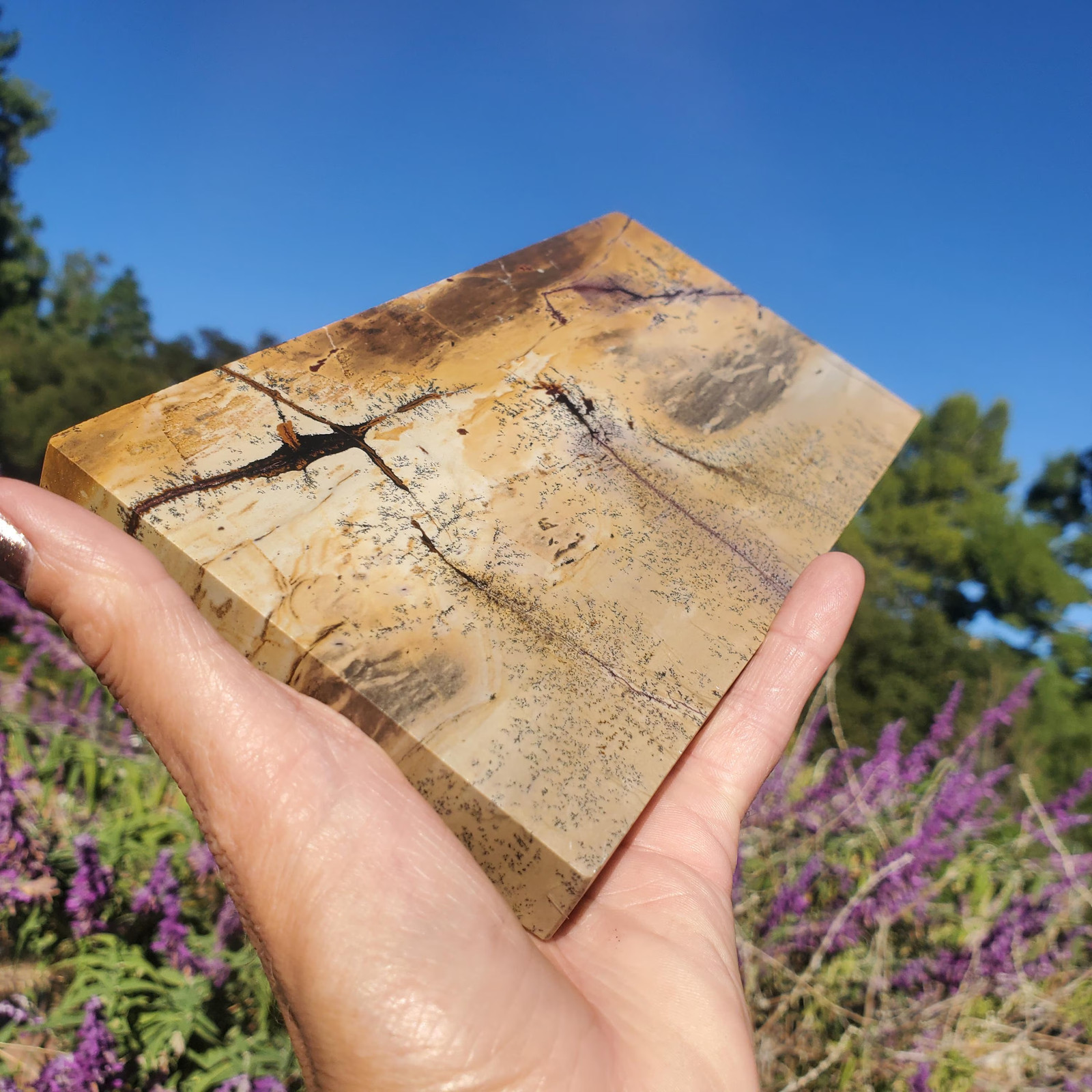 Picture Story Jasper Pastel Dendritic Display Crystal Tile Slab 918 grams