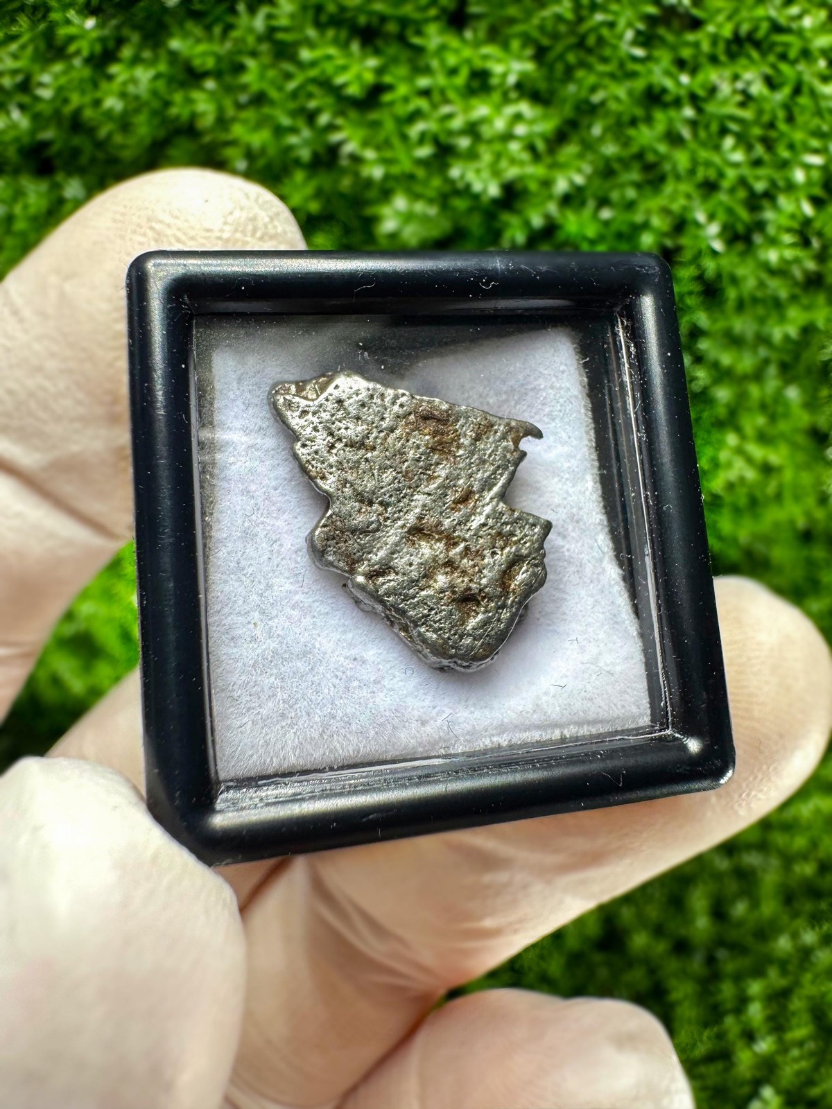 Genuine Aletai Iron Meteorite / From the Asteroid Belt Between MARS AND JUPITER!
